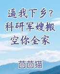 逼我下乡？科研军嫂搬空你全家小说推荐